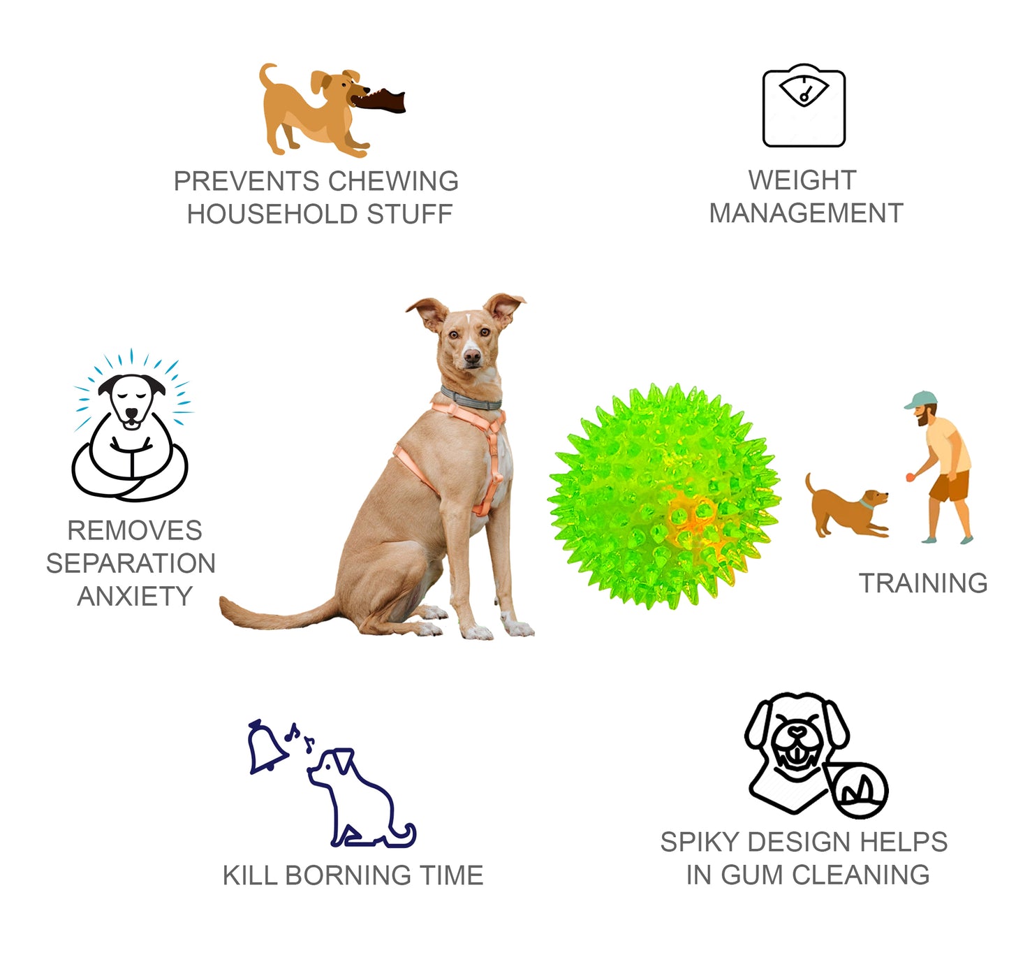 Rolloverforpaws Rubber Led Spiked Ball Dog Chew Toy, Assorted- 2.5 inch Durable, Soft, and Safe for Teeth & Gums with extra bounce | Interactive Fetch & Play Ball for Small, Medium & Large Dogs | Assorted Color