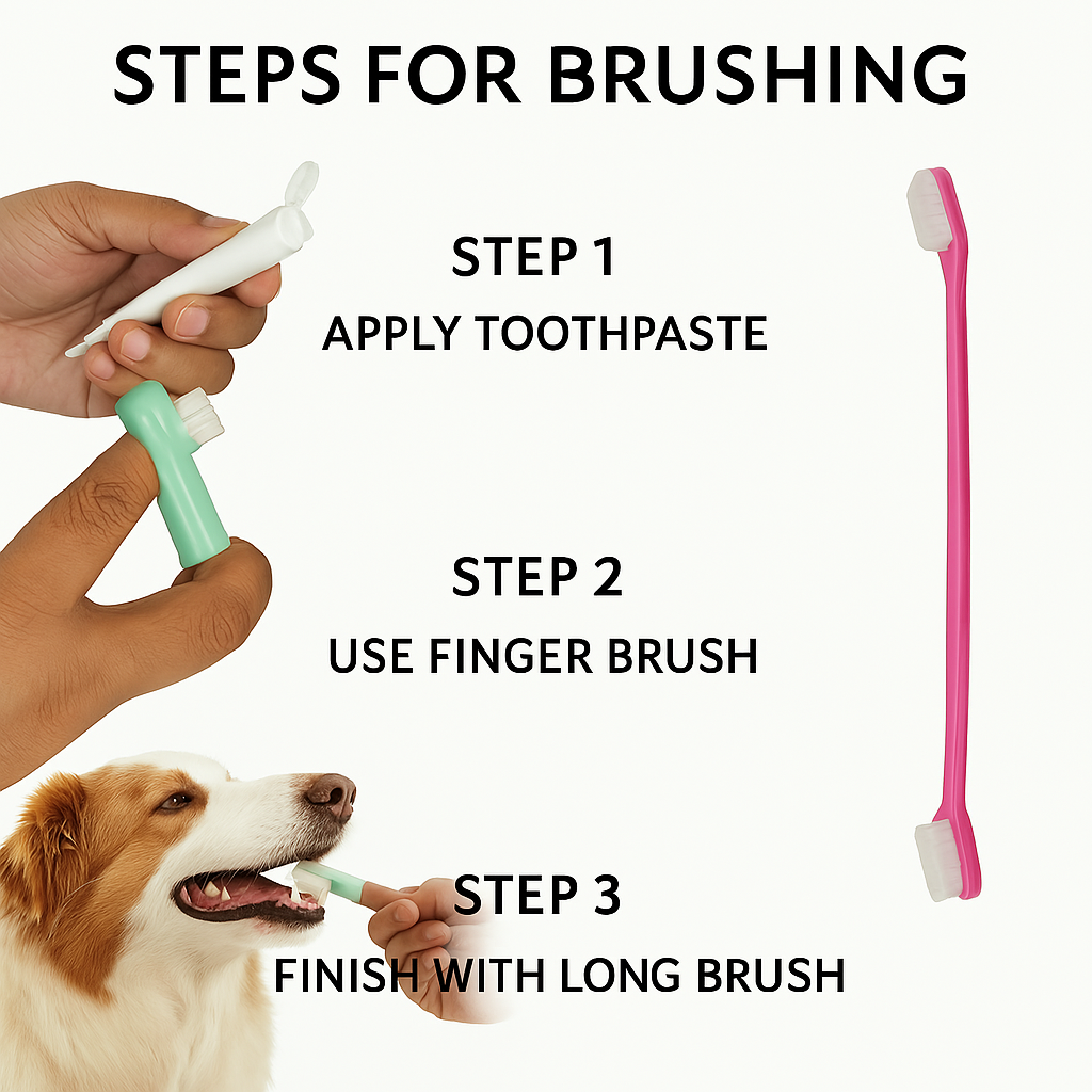 3-in-1 Dog Toothbrush Set | Long Dual-Head Brush & 2 Finger Brushes | Pet Dental Kit for Dogs & Puppies | Soft Bristles for Teeth Cleaning, Gum Massage & Oral Care