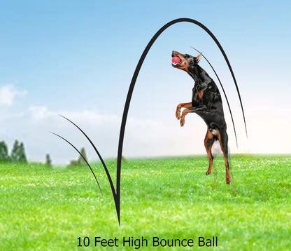 Rolloverforpaws Spiky Rubber Dog Chew Toy - 2.5 inch Durable, Soft, and Safe for Teeth & Gums with extra bounce | Interactive Fetch & Play Ball for Small, Medium & Large Dogs