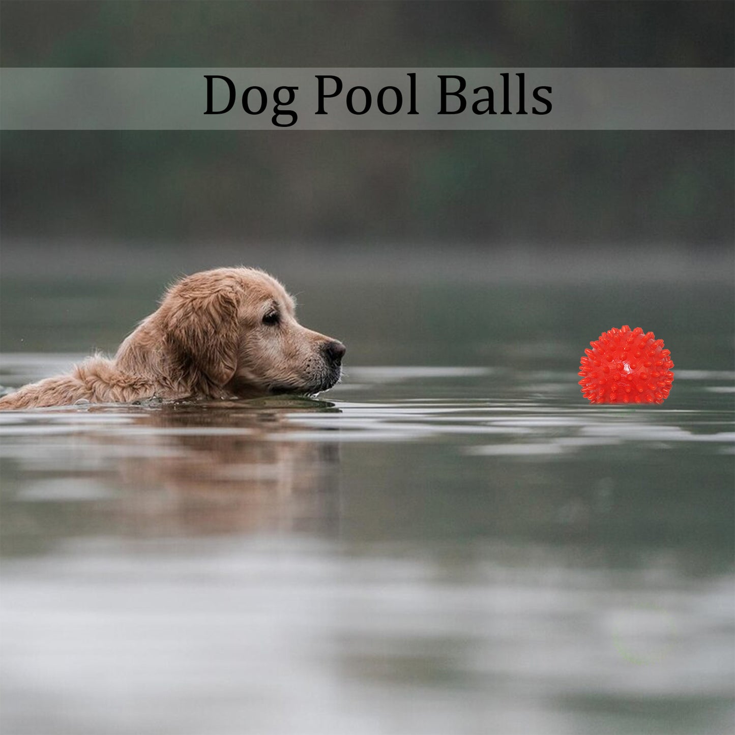 Rolloverforpaws Spiky Rubber Dog Chew Toy - 2.5 inch Durable, Soft, and Safe for Teeth & Gums with extra bounce | Interactive Fetch & Play Ball for Small, Medium & Large Dogs