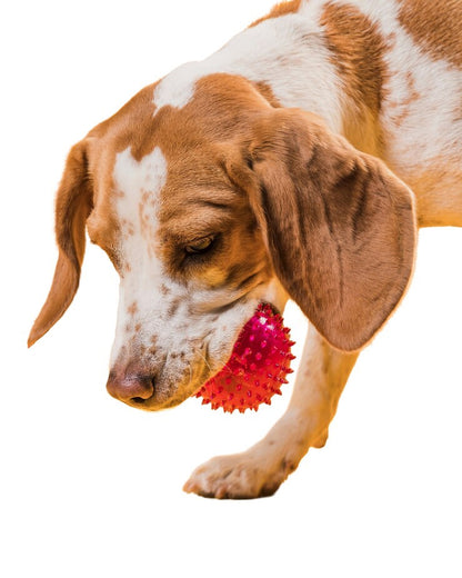 Rolloverforpaws Spiky Rubber Dog Chew Toy - 2.5 inch Durable, Soft, and Safe for Teeth & Gums with extra bounce | Interactive Fetch & Play Ball for Small, Medium & Large Dogs