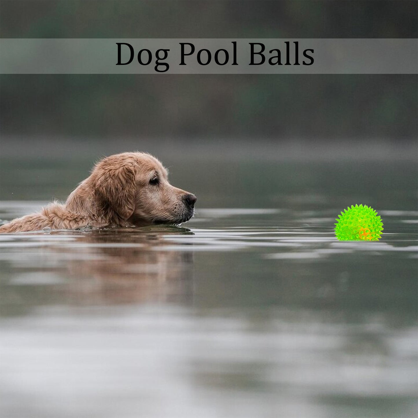 Rolloverforpaws Rubber Led Spiked Ball Dog Chew Toy, Assorted- 2.5 inch Durable, Soft, and Safe for Teeth & Gums with extra bounce | Interactive Fetch & Play Ball for Small, Medium & Large Dogs | Assorted Color