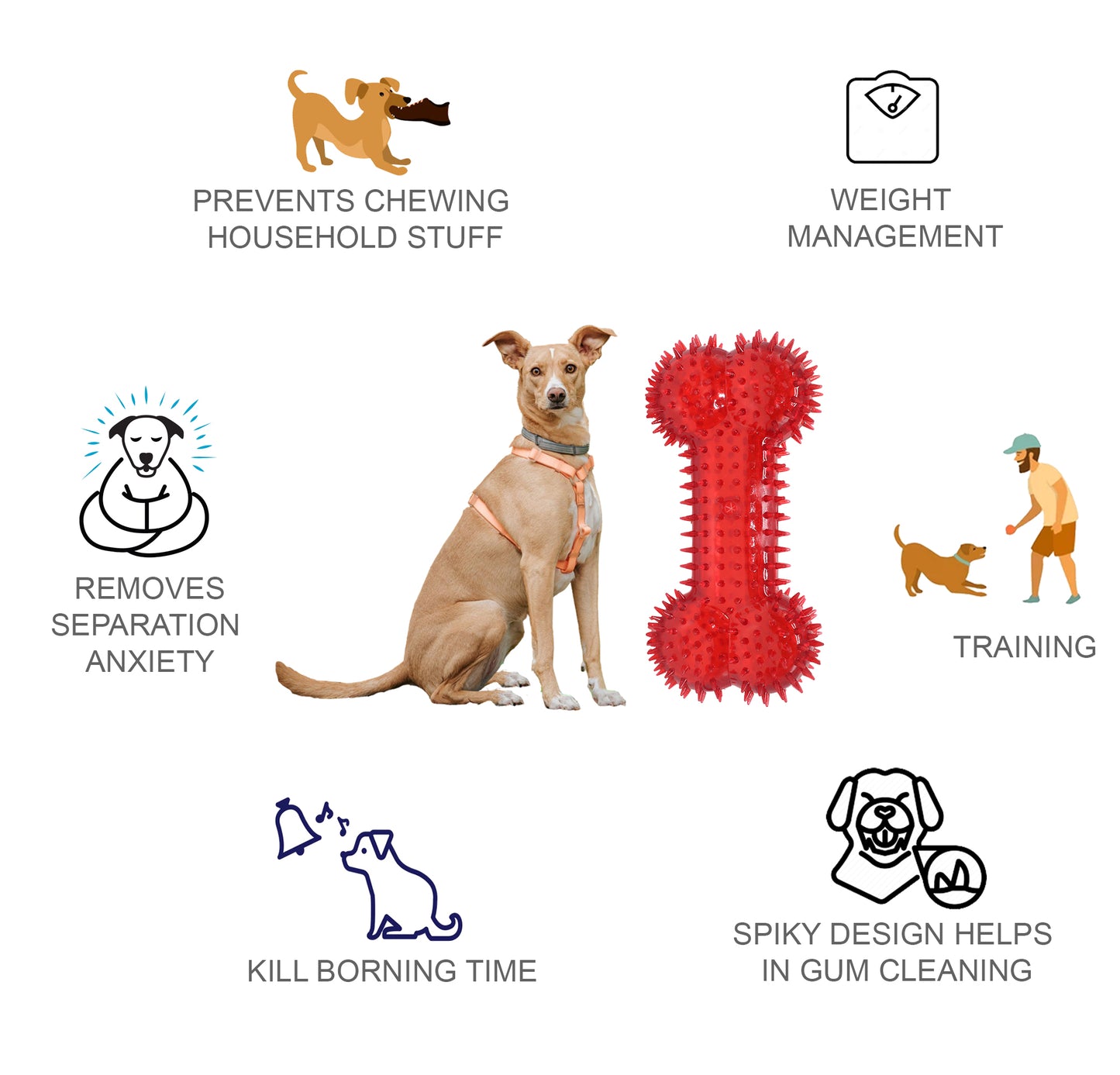 Rolloverforpaws Squeak Dog Chew Bone Toy - 5 inch Durable, Soft, and Safe for Teeth & Gums with extra bounce | Interactive Fetch & Play Ball for Small, Medium & Large Dogs