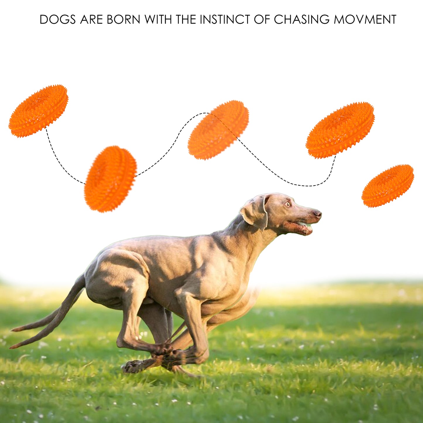 Rolloverforpaws Squeak Dog Chew Ring Toy - 4 inch Durable, Soft, and Safe for Teeth & Gums with extra bounce | Interactive Fetch & Play Ring Toy for Small, Medium & Large Dogs