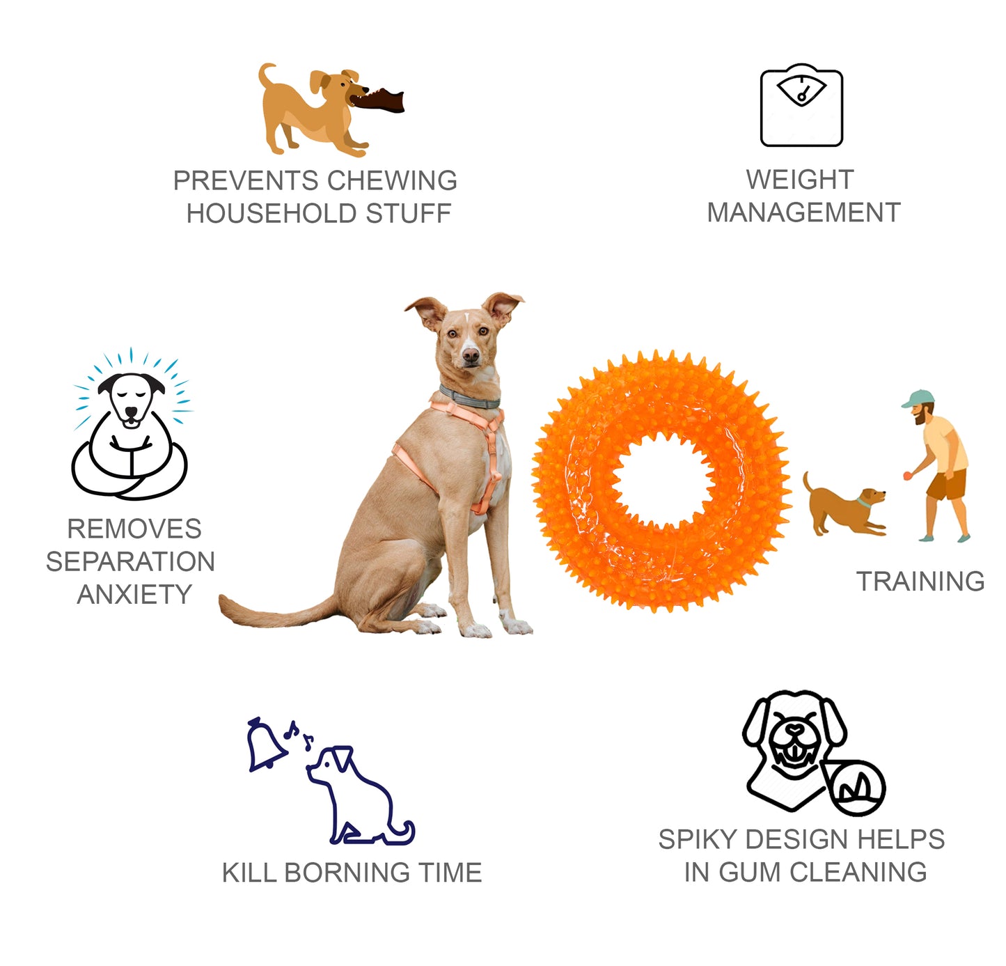 Rolloverforpaws Squeak Dog Chew Ring Toy - 4 inch Durable, Soft, and Safe for Teeth & Gums with extra bounce | Interactive Fetch & Play Ring Toy for Small, Medium & Large Dogs