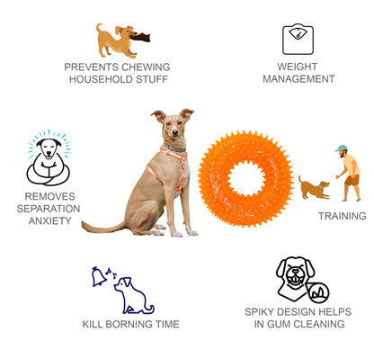 Rolloverforpaws Squeak Dog Chew Ring Toy - 4 inch Durable, Soft, and Safe for Teeth & Gums with extra bounce | Interactive Fetch & Play Ring Toy for Small, Medium & Large Dogs