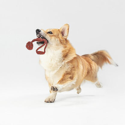 Rolloverforpaws Toy with Ball for Dogs | Interactive Fetch & Play Rop Toy for Small, Medium & Large Dogs | Multi Color