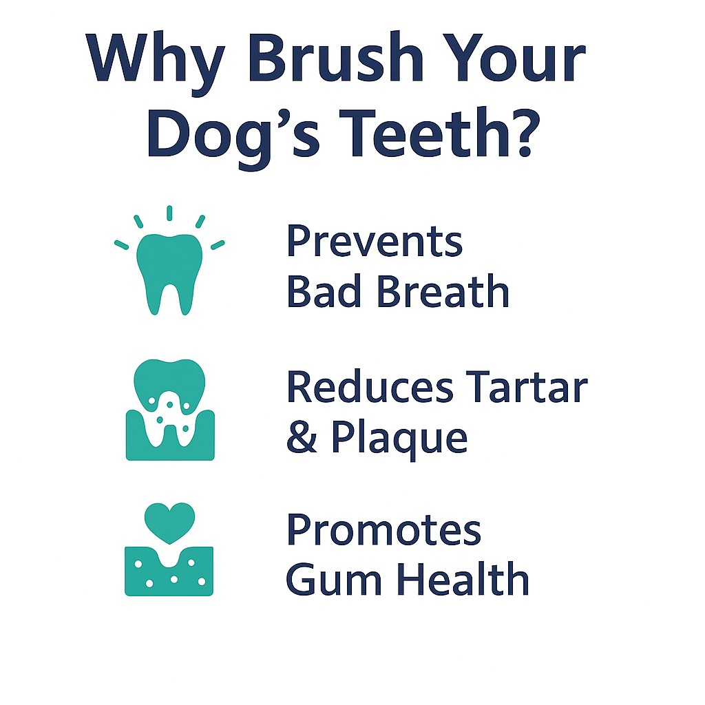 3-in-1 Dog Toothbrush Set | Long Dual-Head Brush & 2 Finger Brushes | Pet Dental Kit for Dogs & Puppies | Soft Bristles for Teeth Cleaning, Gum Massage & Oral Care