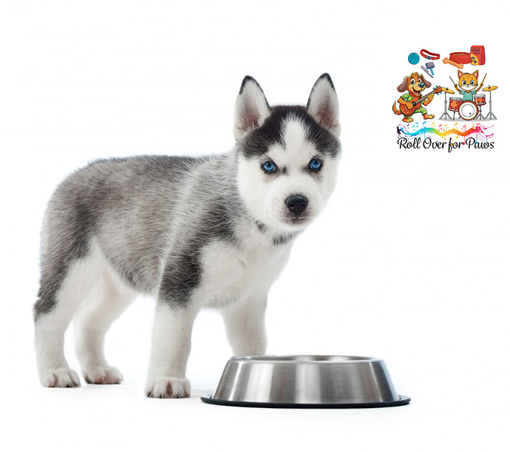 Rolloverforpaws 1800ml Stainless Steel Dog Bowl – Large, Heavy-Duty Pet Food & Water Dish with Non-Slip Rubber Base for Big Dogs – Durable, Rust-Resistant & Easy to Clean