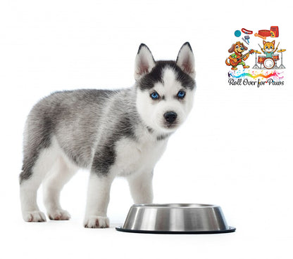 Rolloverforpaws 1800ml Stainless Steel Dog Bowl – Large, Heavy-Duty Pet Food & Water Dish with Non-Slip Rubber Base for Big Dogs – Durable, Rust-Resistant & Easy to Clean