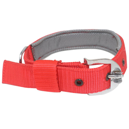 Rolloverforpaws 18-Inch Padded Dog Collar – Double-Layered Nylon with Soft Cushion & Metal Buckle – Adjustable, Durable & Comfortable for Small Dogs – Secure Fit for Walking & Training