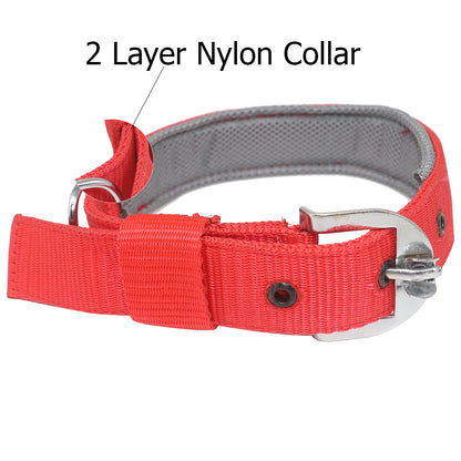 Rolloverforpaws 18-Inch Padded Dog Collar – Double-Layered Nylon with Soft Cushion & Metal Buckle – Adjustable, Durable & Comfortable for Small Dogs – Secure Fit for Walking & Training