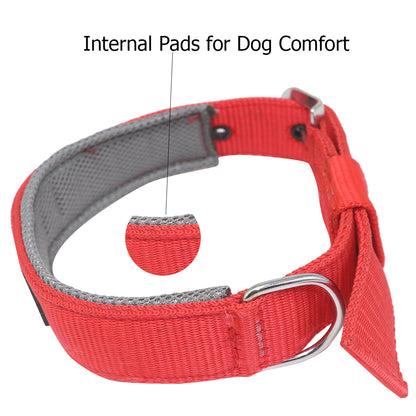 Rolloverforpaws 18-Inch Padded Dog Collar – Double-Layered Nylon with Soft Cushion & Metal Buckle – Adjustable, Durable & Comfortable for Small Dogs – Secure Fit for Walking & Training